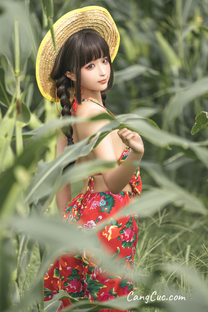 Coser@蠢沫沫 (chunmomo): The Story of Cornfield ảnh 5